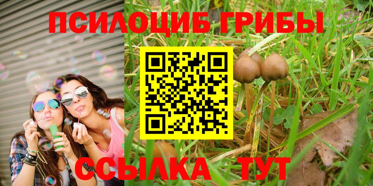 Галлюциногенные грибы прущие грибы Туапсе